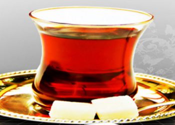 کلیپ صوتی روضه‌های خانگی | پادکست شماره 2