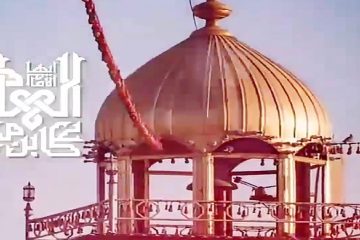 استوری | ولادت حضرت امام هادی علیه السلام