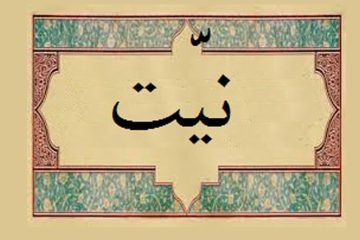 نیکوترین نیتها، خالصترین آنها