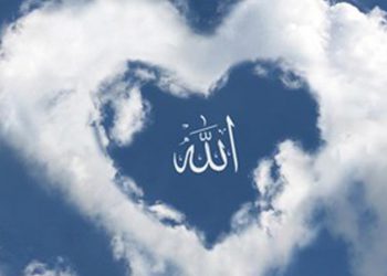 عطوفت و رحمت