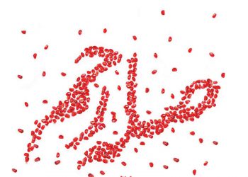 نقش صله رحم در طولانی شدن عمر