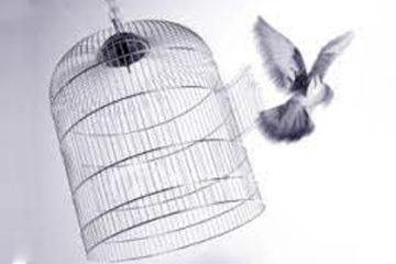 آزادگی از شهوت