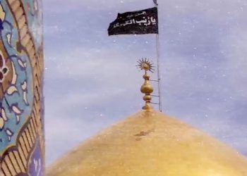 استوری محرم | شب چهارم محرم ؛ زینب تو دو تا دسته گل برات آوردم