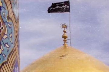 استوری محرم | شب چهارم محرم ؛ زینب تو دو تا دسته گل برات آوردم