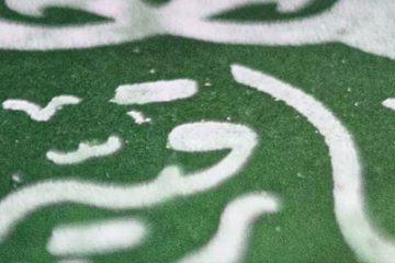 استوری | شهادت حضرت رقیه علیها السلام