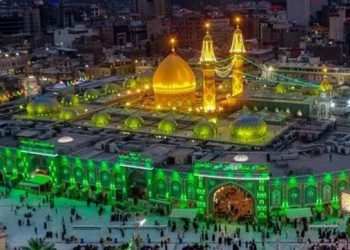 استوری شب زیارتی | امام من تویی دلیل گریه مدام من