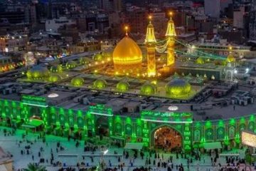 استوری شب زیارتی | امام من تویی دلیل گریه مدام من