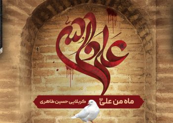 استوری شهادت امام علی