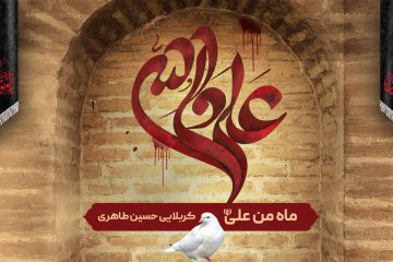 استوری شهادت امام علی