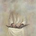 امام علی علیه السلام