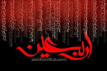 شاخه شاخه شکسته ام، اما به تو وابسته ام - استوری ویژه اربعین