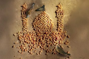 شهادت امام حسن عسکری