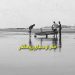 حذر از دنیای زودگذر در حدیث
