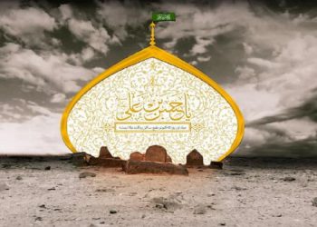 صلح با معاویه و احتجاج به حدیث غدیر