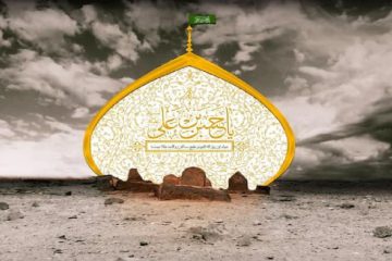 صلح با معاویه و احتجاج به حدیث غدیر