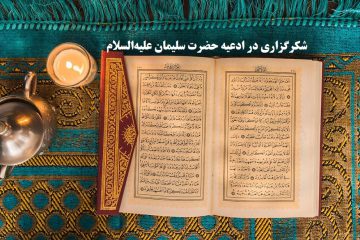 شکرگزاری