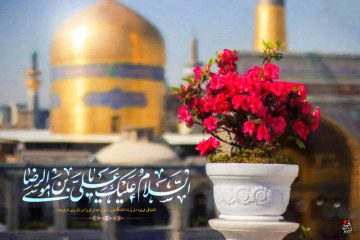 ولادت امام رضا